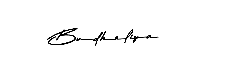 The best way (Asem Kandis PERSONAL USE) to make a short signature is to pick only two or three words in your name. The name Budheliya include a total of six letters. For converting this name. Budheliya signature style 9 images and pictures png