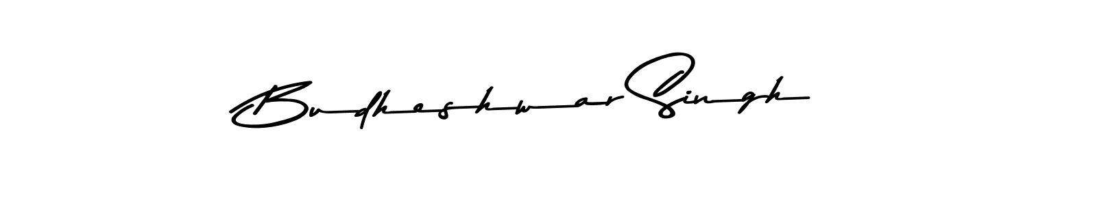 The best way (Asem Kandis PERSONAL USE) to make a short signature is to pick only two or three words in your name. The name Budheshwar Singh include a total of six letters. For converting this name. Budheshwar Singh signature style 9 images and pictures png