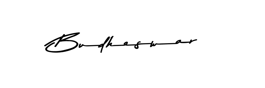Make a short Budheswar signature style. Manage your documents anywhere anytime using Asem Kandis PERSONAL USE. Create and add eSignatures, submit forms, share and send files easily. Budheswar signature style 9 images and pictures png
