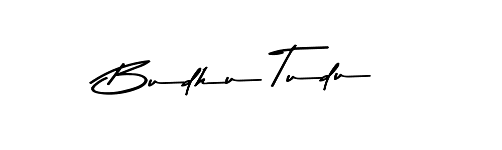 Make a beautiful signature design for name Budhu Tudu. Use this online signature maker to create a handwritten signature for free. Budhu Tudu signature style 9 images and pictures png