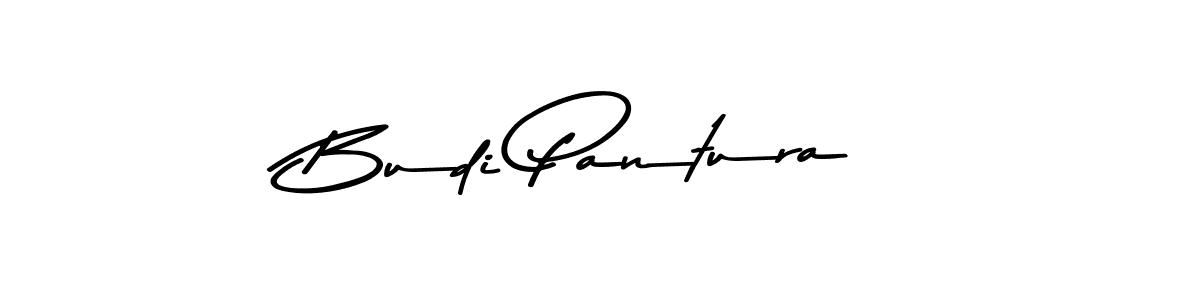 Use a signature maker to create a handwritten signature online. With this signature software, you can design (Asem Kandis PERSONAL USE) your own signature for name Budi Pantura. Budi Pantura signature style 9 images and pictures png