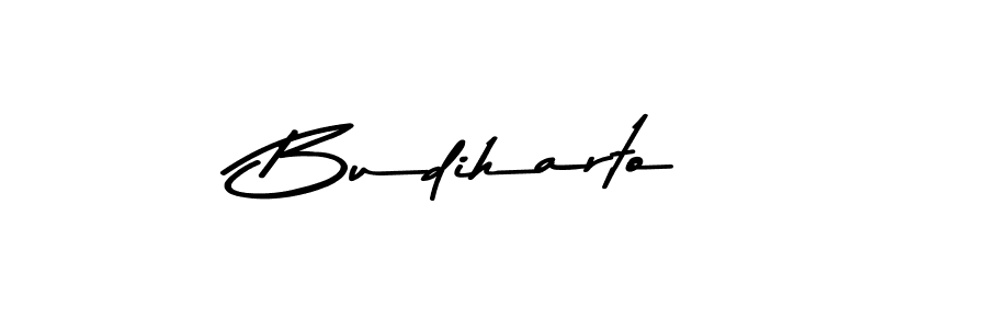 Make a beautiful signature design for name Budiharto. Use this online signature maker to create a handwritten signature for free. Budiharto signature style 9 images and pictures png