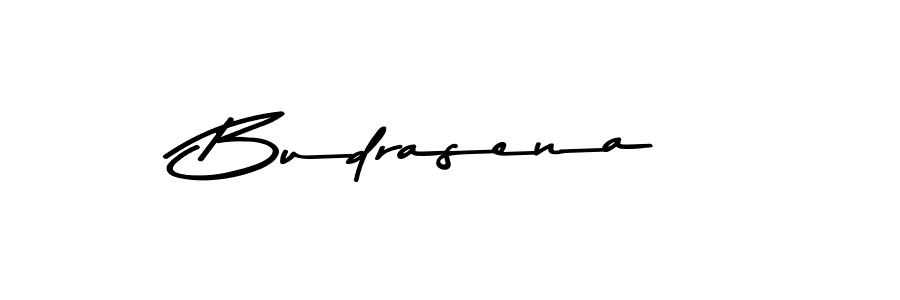 Also You can easily find your signature by using the search form. We will create Budrasena name handwritten signature images for you free of cost using Asem Kandis PERSONAL USE sign style. Budrasena signature style 9 images and pictures png