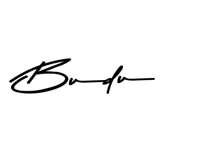 How to make Budu signature? Asem Kandis PERSONAL USE is a professional autograph style. Create handwritten signature for Budu name. Budu signature style 9 images and pictures png