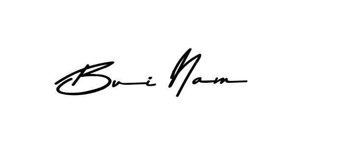 Bui Nam stylish signature style. Best Handwritten Sign (Asem Kandis PERSONAL USE) for my name. Handwritten Signature Collection Ideas for my name Bui Nam. Bui Nam signature style 9 images and pictures png