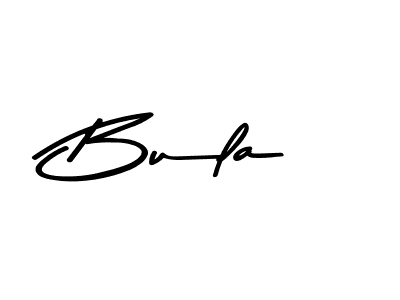 The best way (Asem Kandis PERSONAL USE) to make a short signature is to pick only two or three words in your name. The name Bula include a total of six letters. For converting this name. Bula signature style 9 images and pictures png