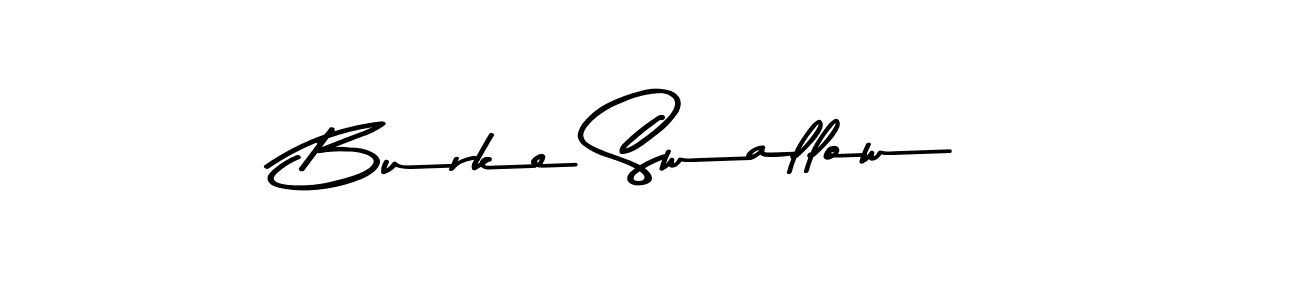 Here are the top 10 professional signature styles for the name Burke Swallow. These are the best autograph styles you can use for your name. Burke Swallow signature style 9 images and pictures png