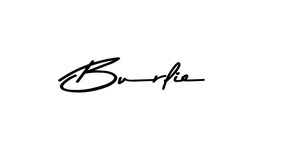 Burlie stylish signature style. Best Handwritten Sign (Asem Kandis PERSONAL USE) for my name. Handwritten Signature Collection Ideas for my name Burlie. Burlie signature style 9 images and pictures png