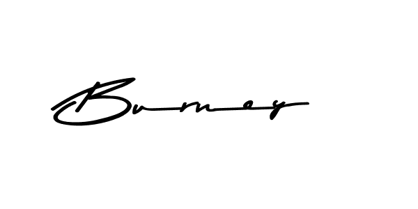 You should practise on your own different ways (Asem Kandis PERSONAL USE) to write your name (Burney) in signature. don't let someone else do it for you. Burney signature style 9 images and pictures png