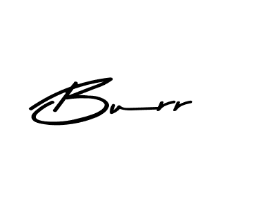 How to make Burr signature? Asem Kandis PERSONAL USE is a professional autograph style. Create handwritten signature for Burr name. Burr signature style 9 images and pictures png