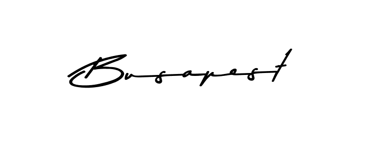 Make a beautiful signature design for name Busapest. Use this online signature maker to create a handwritten signature for free. Busapest signature style 9 images and pictures png