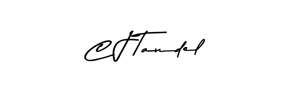 You should practise on your own different ways (Asem Kandis PERSONAL USE) to write your name (C J Tandel) in signature. don't let someone else do it for you. C J Tandel signature style 9 images and pictures png