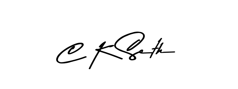You should practise on your own different ways (Asem Kandis PERSONAL USE) to write your name (C K Seth) in signature. don't let someone else do it for you. C K Seth signature style 9 images and pictures png