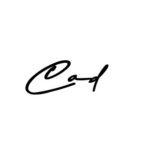 This is the best signature style for the Cad name. Also you like these signature font (Asem Kandis PERSONAL USE). Mix name signature. Cad signature style 9 images and pictures png