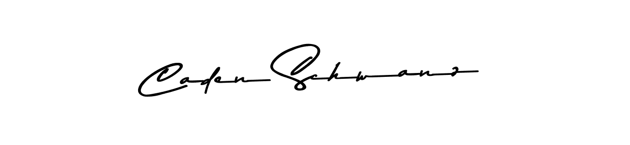 Make a beautiful signature design for name Caden Schwanz. Use this online signature maker to create a handwritten signature for free. Caden Schwanz signature style 9 images and pictures png