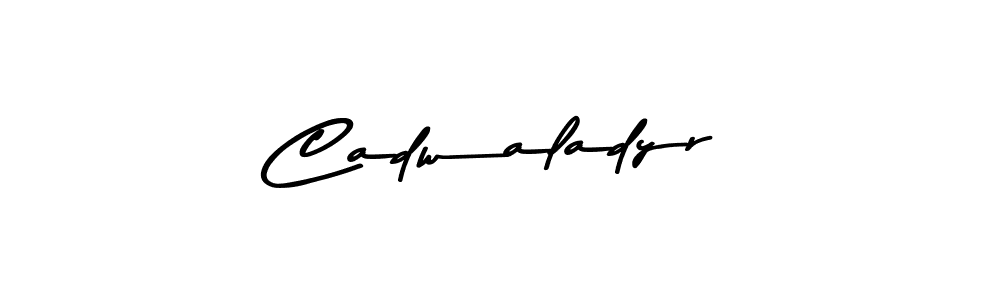 How to Draw Cadwaladyr signature style? Asem Kandis PERSONAL USE is a latest design signature styles for name Cadwaladyr. Cadwaladyr signature style 9 images and pictures png