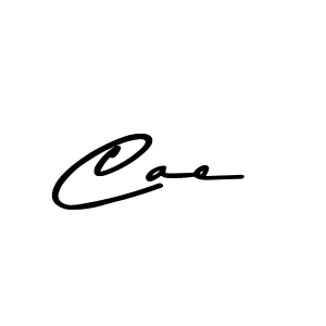 Cae stylish signature style. Best Handwritten Sign (Asem Kandis PERSONAL USE) for my name. Handwritten Signature Collection Ideas for my name Cae. Cae signature style 9 images and pictures png