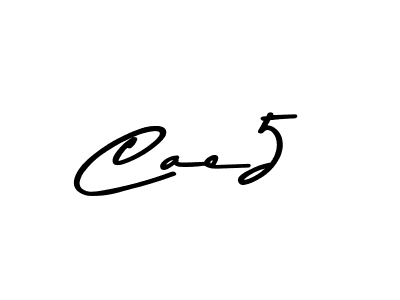 Here are the top 10 professional signature styles for the name Cae5. These are the best autograph styles you can use for your name. Cae5 signature style 9 images and pictures png