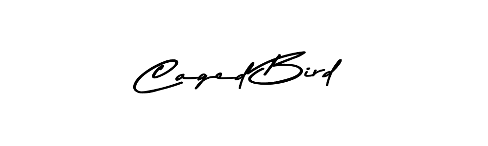 if you are searching for the best signature style for your name Caged Bird. so please give up your signature search. here we have designed multiple signature styles  using Asem Kandis PERSONAL USE. Caged Bird signature style 9 images and pictures png