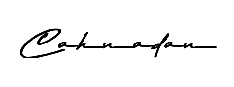 Express your personality with a custom Cahnadan signature crafted with Asem Kandis PERSONAL USE typography. Free transparent PNG download available. Cahnadan signature style 9 images and pictures png