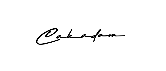 You should practise on your own different ways (Asem Kandis PERSONAL USE) to write your name (Cakadam) in signature. don't let someone else do it for you. Cakadam signature style 9 images and pictures png