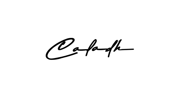 Make a beautiful signature design for name Caladh. Use this online signature maker to create a handwritten signature for free. Caladh signature style 9 images and pictures png