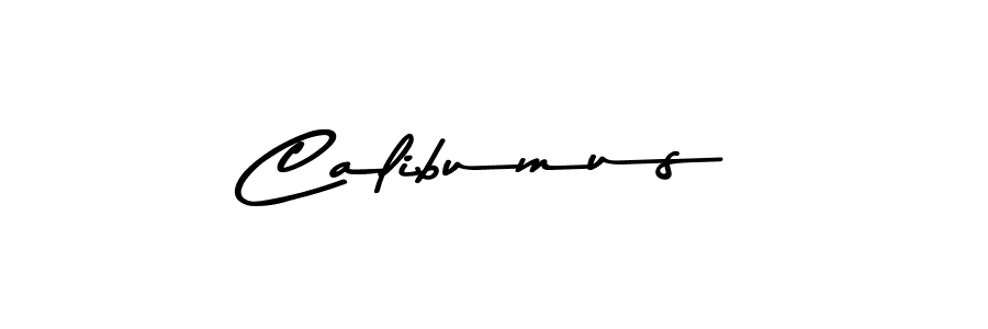 You can use this online signature creator to create a handwritten signature for the name Calibumus. This is the best online autograph maker. Calibumus signature style 9 images and pictures png