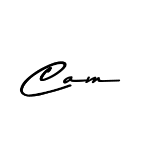 You should practise on your own different ways (Asem Kandis PERSONAL USE) to write your name (Cam) in signature. don't let someone else do it for you. Cam signature style 9 images and pictures png
