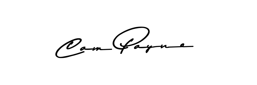 Design your own signature with our free online signature maker. With this signature software, you can create a handwritten (Asem Kandis PERSONAL USE) signature for name Cam Payne. Cam Payne signature style 9 images and pictures png