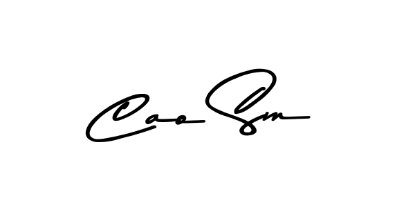 Make a beautiful signature design for name Cao Sm. Use this online signature maker to create a handwritten signature for free. Cao Sm signature style 9 images and pictures png