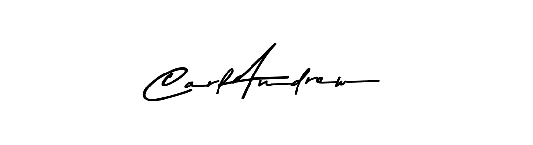 You should practise on your own different ways (Asem Kandis PERSONAL USE) to write your name (Carl Andrew) in signature. don't let someone else do it for you. Carl Andrew signature style 9 images and pictures png