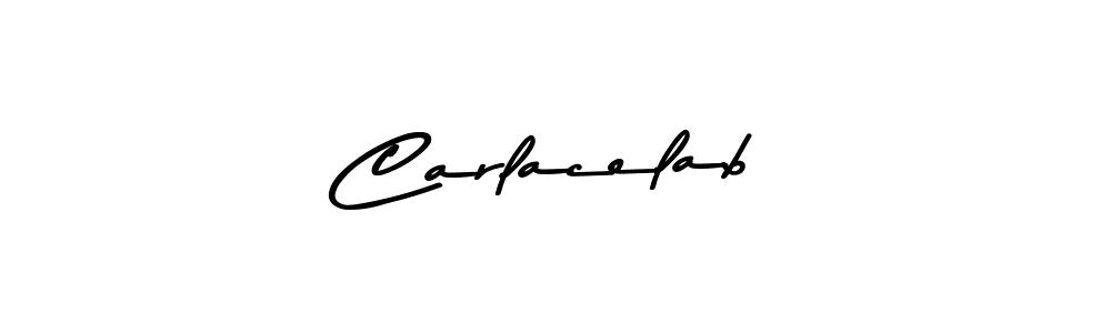 Similarly Asem Kandis PERSONAL USE is the best handwritten signature design. Signature creator online .You can use it as an online autograph creator for name Carlacelab. Carlacelab signature style 9 images and pictures png