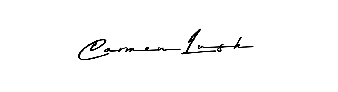 You should practise on your own different ways (Asem Kandis PERSONAL USE) to write your name (Carmen Lush) in signature. don't let someone else do it for you. Carmen Lush signature style 9 images and pictures png