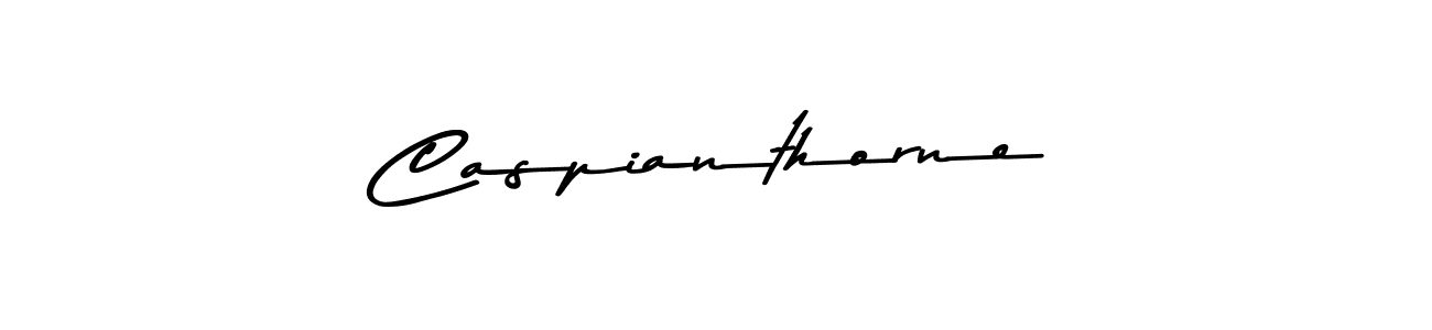 Here are the top 10 professional signature styles for the name Caspianthorne. These are the best autograph styles you can use for your name. Caspianthorne signature style 9 images and pictures png