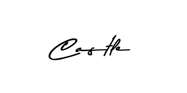 Similarly Asem Kandis PERSONAL USE is the best handwritten signature design. Signature creator online .You can use it as an online autograph creator for name Castle. Castle signature style 9 images and pictures png