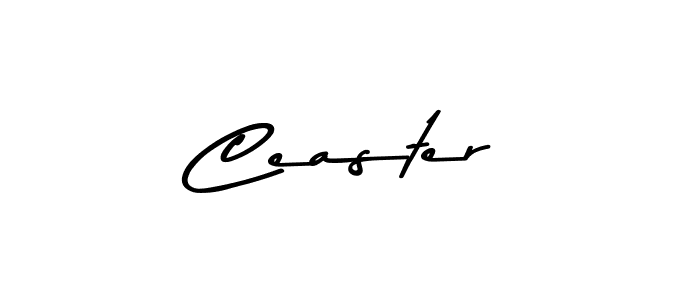 Make a beautiful signature design for name Ceaster. Use this online signature maker to create a handwritten signature for free. Ceaster signature style 9 images and pictures png