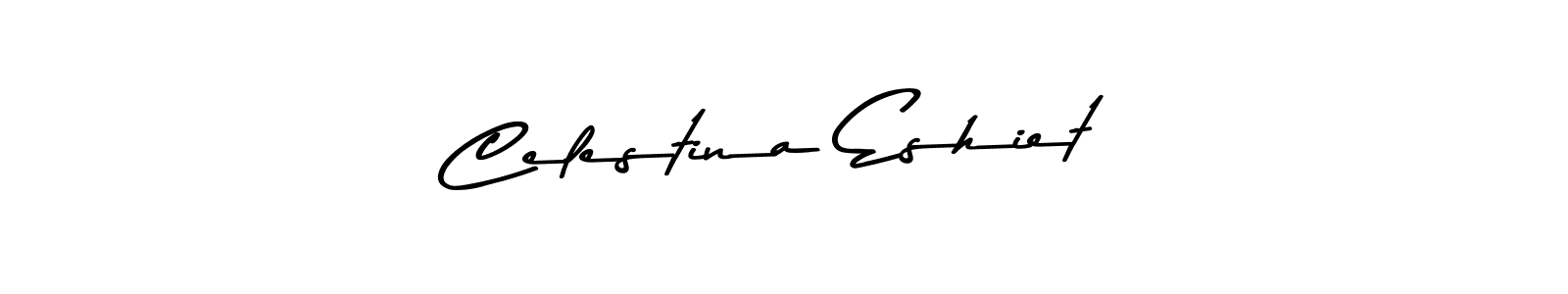 You should practise on your own different ways (Asem Kandis PERSONAL USE) to write your name (Celestina Eshiet) in signature. don't let someone else do it for you. Celestina Eshiet signature style 9 images and pictures png