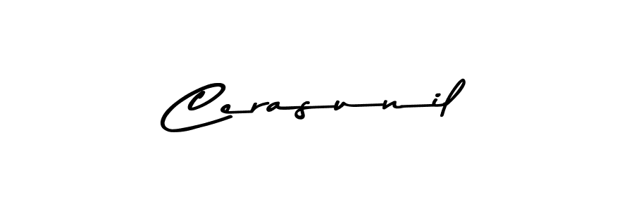 Similarly Asem Kandis PERSONAL USE is the best handwritten signature design. Signature creator online .You can use it as an online autograph creator for name Cerasunil. Cerasunil signature style 9 images and pictures png
