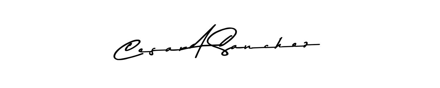 Create a beautiful signature design for name Cesar A Sanchez. With this signature (Asem Kandis PERSONAL USE) fonts, you can make a handwritten signature for free. Cesar A Sanchez signature style 9 images and pictures png