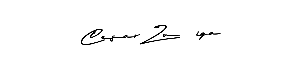 How to Draw Cesar Zuñiga signature style? Asem Kandis PERSONAL USE is a latest design signature styles for name Cesar Zuñiga. Cesar Zuñiga signature style 9 images and pictures png