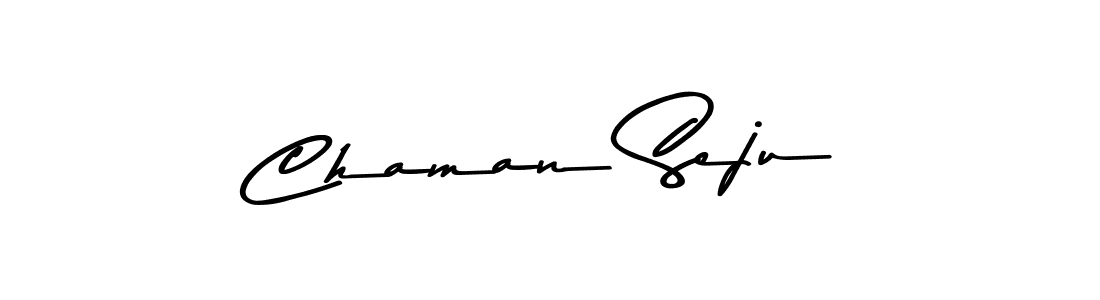 Similarly Asem Kandis PERSONAL USE is the best handwritten signature design. Signature creator online .You can use it as an online autograph creator for name Chaman Seju. Chaman Seju signature style 9 images and pictures png