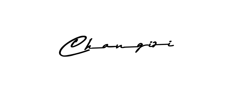 You should practise on your own different ways (Asem Kandis PERSONAL USE) to write your name (Changizi) in signature. don't let someone else do it for you. Changizi signature style 9 images and pictures png