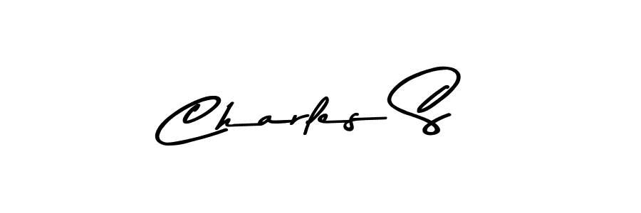 Similarly Asem Kandis PERSONAL USE is the best handwritten signature design. Signature creator online .You can use it as an online autograph creator for name Charles S. Charles S signature style 9 images and pictures png