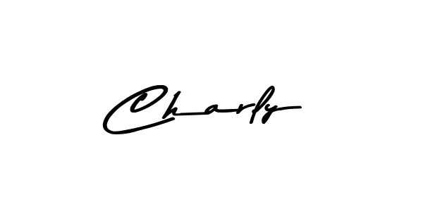 You should practise on your own different ways (Asem Kandis PERSONAL USE) to write your name (Charly) in signature. don't let someone else do it for you. Charly signature style 9 images and pictures png