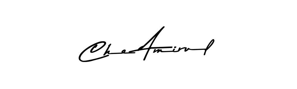 Here are the top 10 professional signature styles for the name Che Amirul. These are the best autograph styles you can use for your name. Che Amirul signature style 9 images and pictures png
