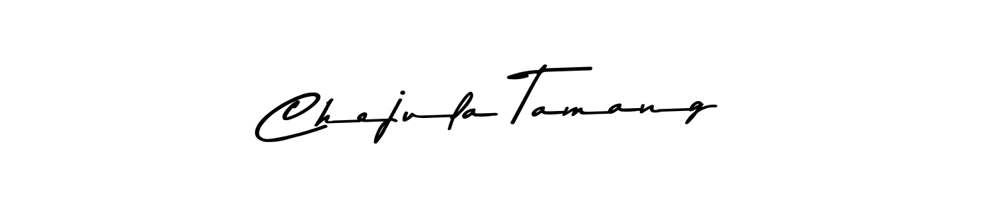 Asem Kandis PERSONAL USE is a professional signature style that is perfect for those who want to add a touch of class to their signature. It is also a great choice for those who want to make their signature more unique. Get Chejula Tamang name to fancy signature for free. Chejula Tamang signature style 9 images and pictures png