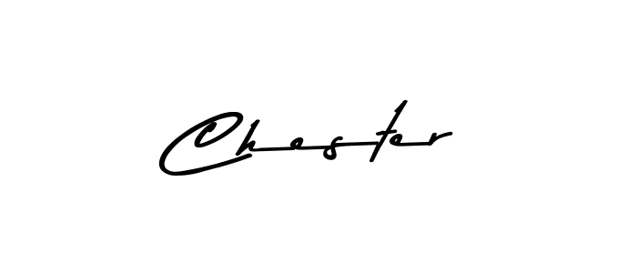 You can use this online signature creator to create a handwritten signature for the name Chester. This is the best online autograph maker. Chester signature style 9 images and pictures png