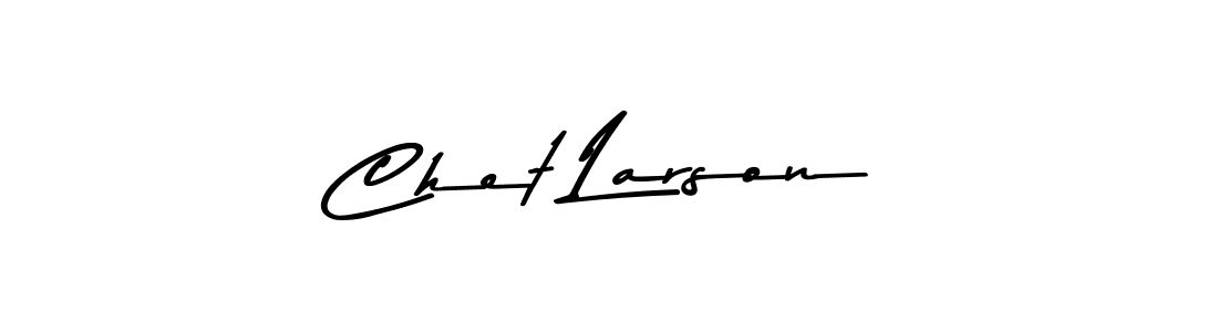 Similarly Asem Kandis PERSONAL USE is the best handwritten signature design. Signature creator online .You can use it as an online autograph creator for name Chet Larson. Chet Larson signature style 9 images and pictures png