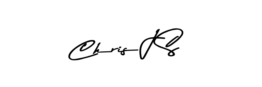 Chris J S stylish signature style. Best Handwritten Sign (Asem Kandis PERSONAL USE) for my name. Handwritten Signature Collection Ideas for my name Chris J S. Chris J S signature style 9 images and pictures png