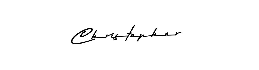 Make a beautiful signature design for name Christopher. Use this online signature maker to create a handwritten signature for free. Christopher signature style 9 images and pictures png